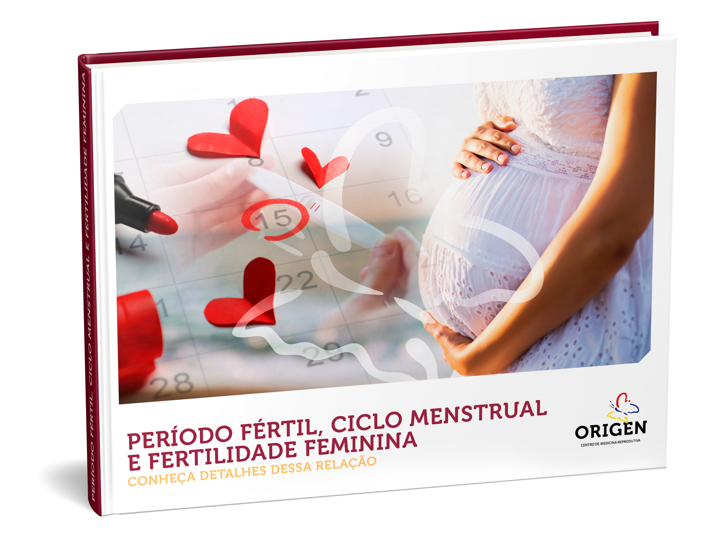 E-book | Período fértil, ciclo menstrual e fertilidade feminina: conheça detalhes dessa relação